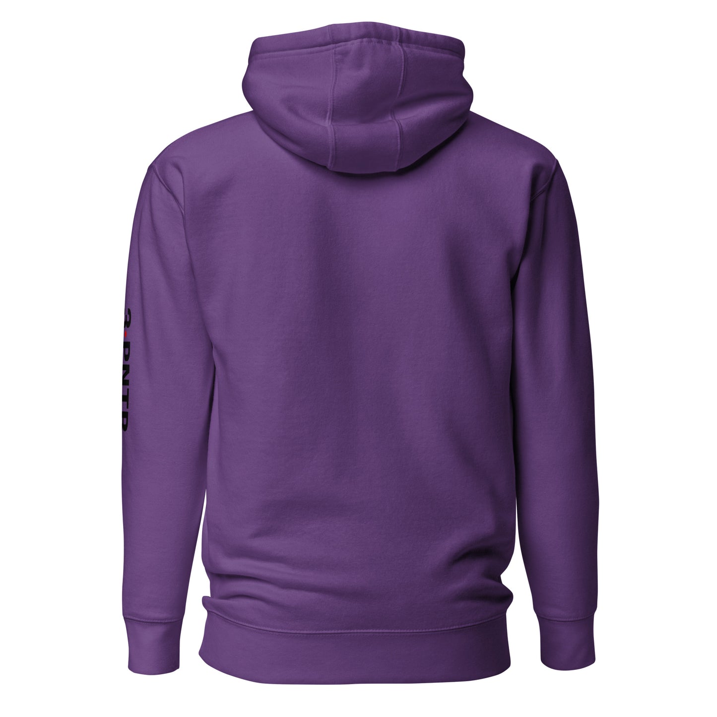 3PNTR - Classic Hoodie - Adult